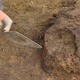 Illustration for article titled An 8,000 Year-old Skull Has Been Found With Preserved Brain Matter